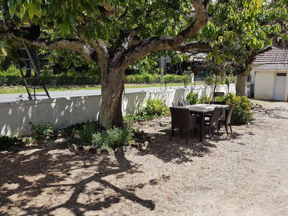 Gite Caves De Beauval Saint-Aignan  Zewnętrze zdjęcie