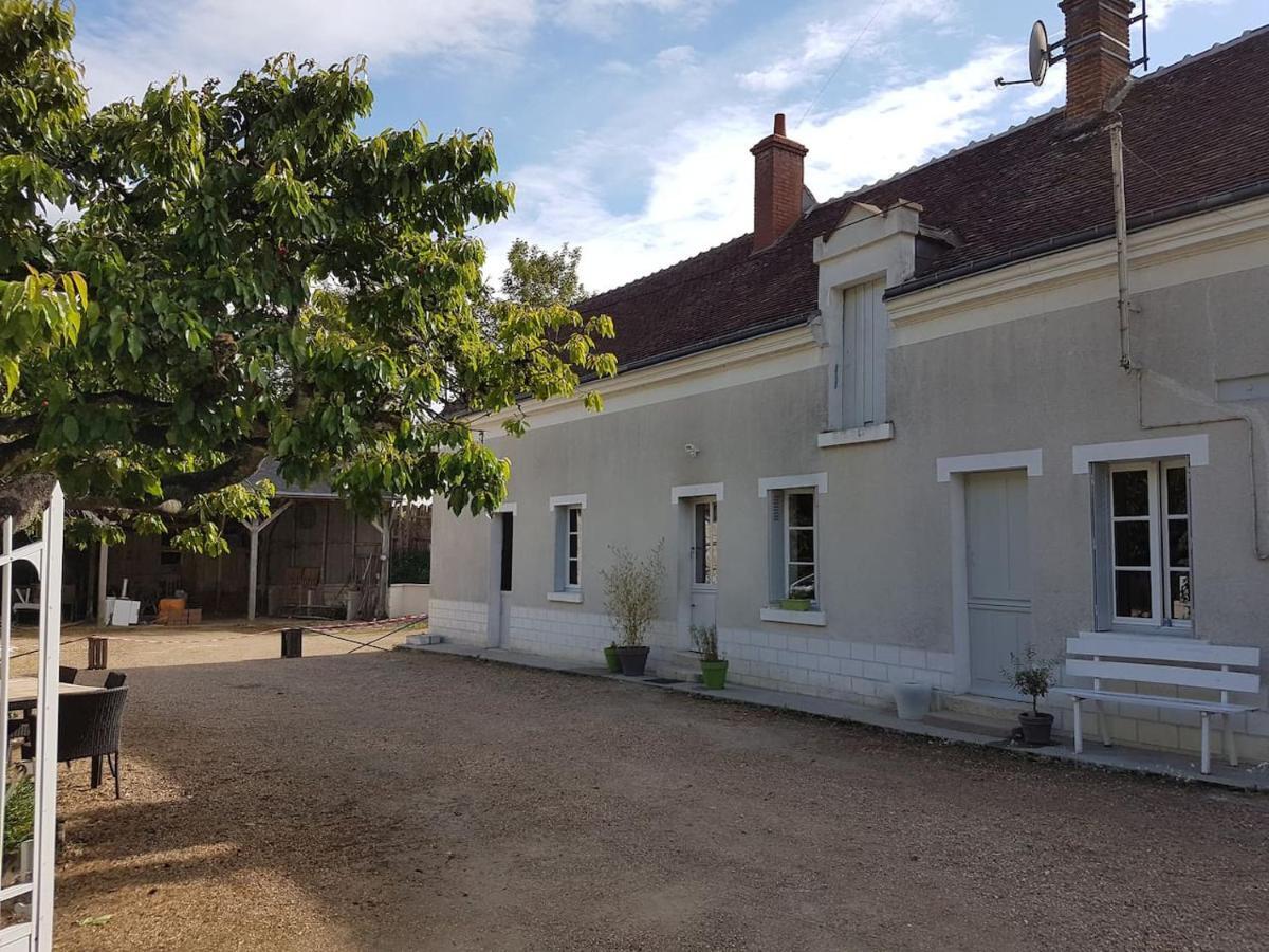 Gite Caves De Beauval Saint-Aignan  Zewnętrze zdjęcie